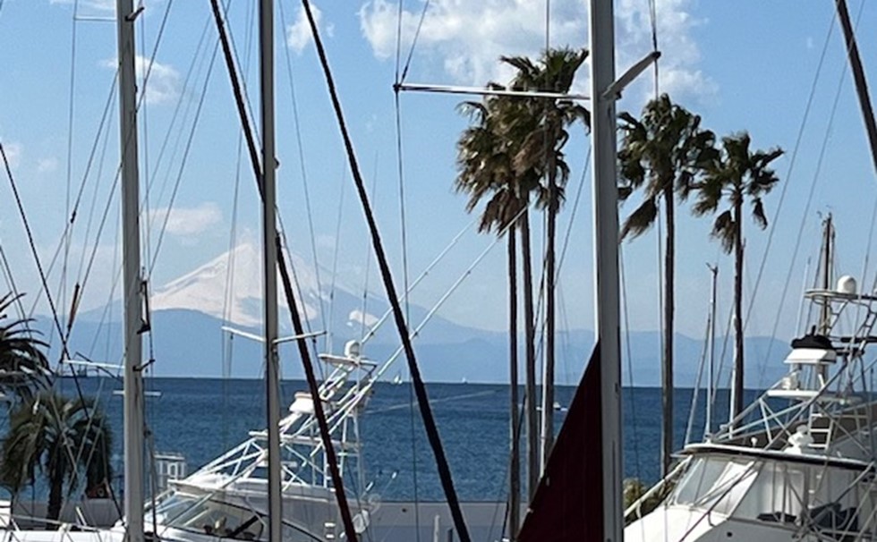 写真:A棟 2階 シーボニアマリーナ