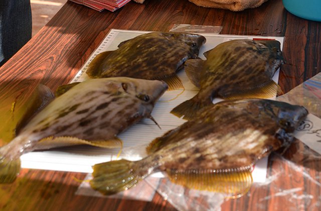 写真:ハギマスター