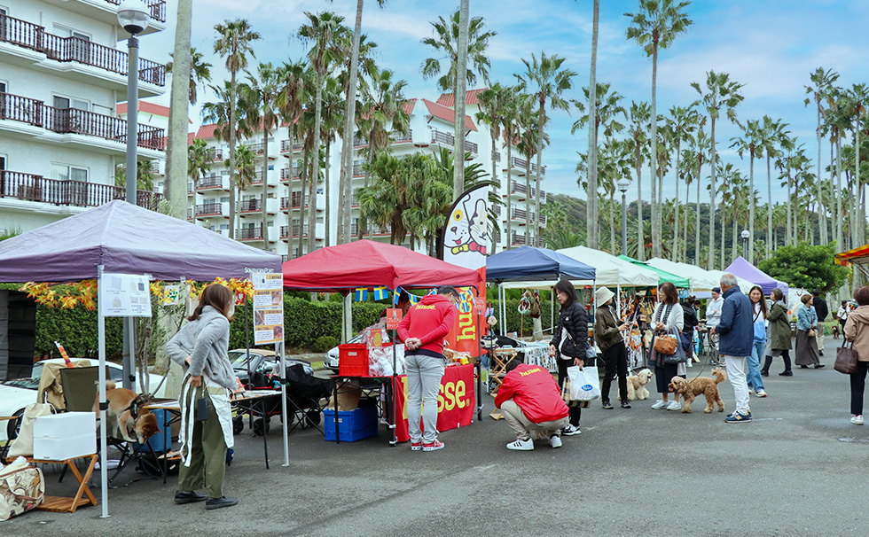 写真:Miniリビエラマルシ: