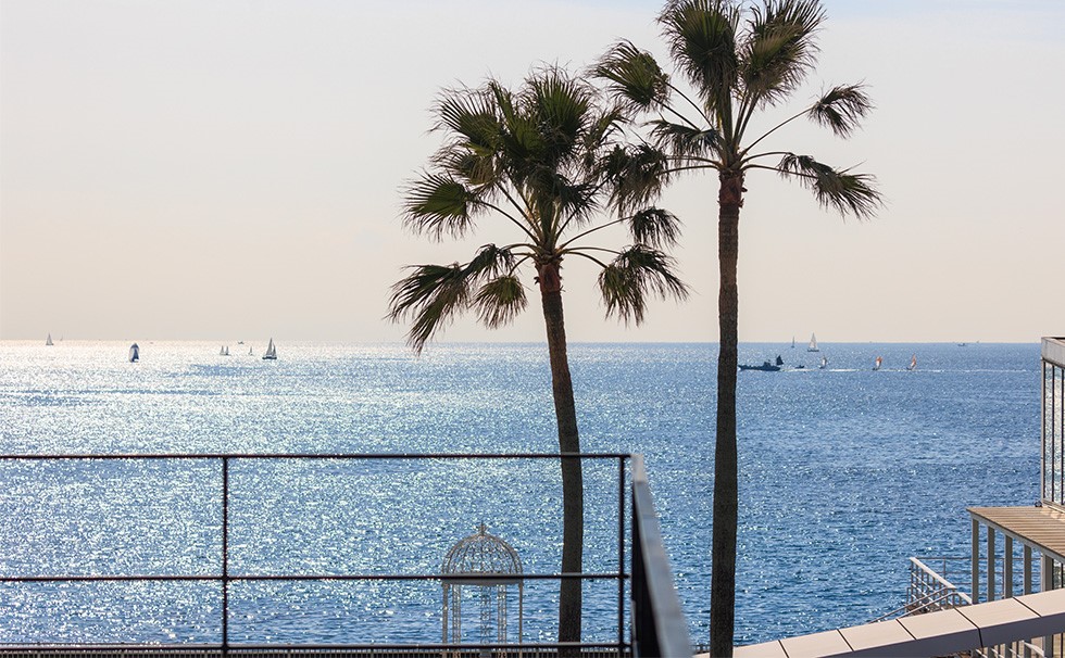 写真:z逗子マリーナ