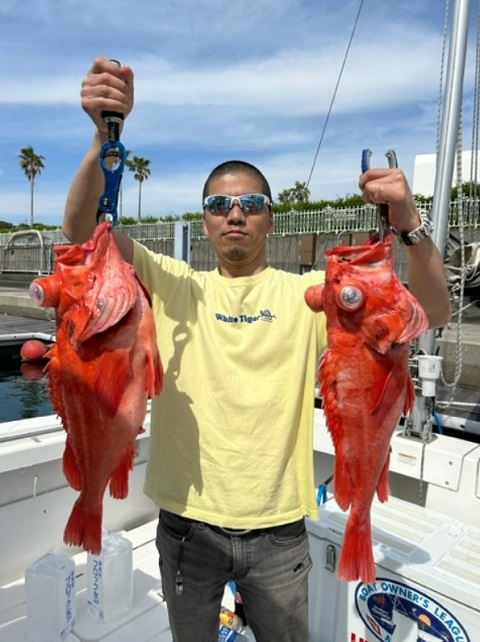 写真:釣り人とアコウダイ