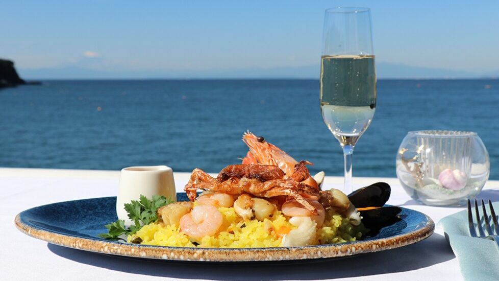 写真：湘南レース