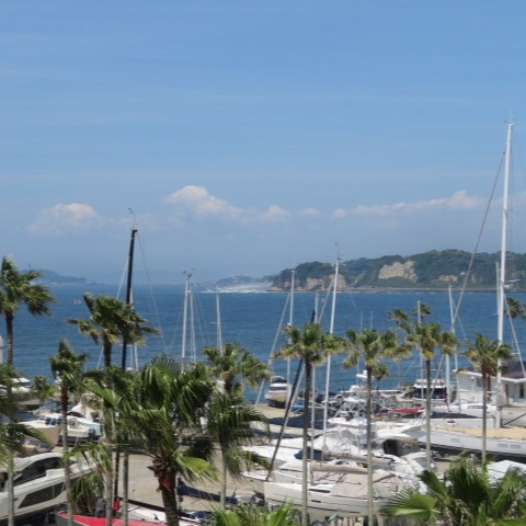 写真:逗子マリーナ4号棟眺望