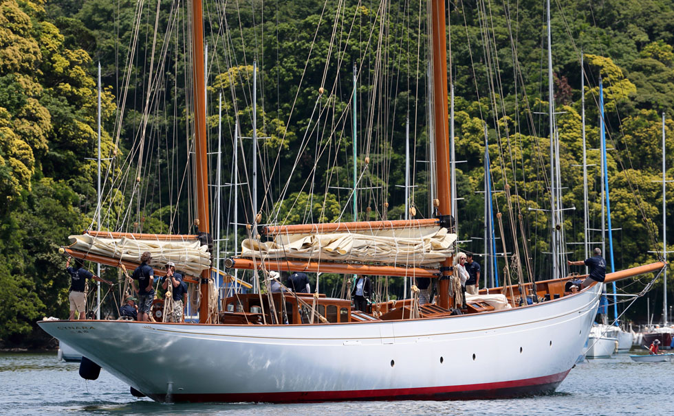 写真：シナーラ