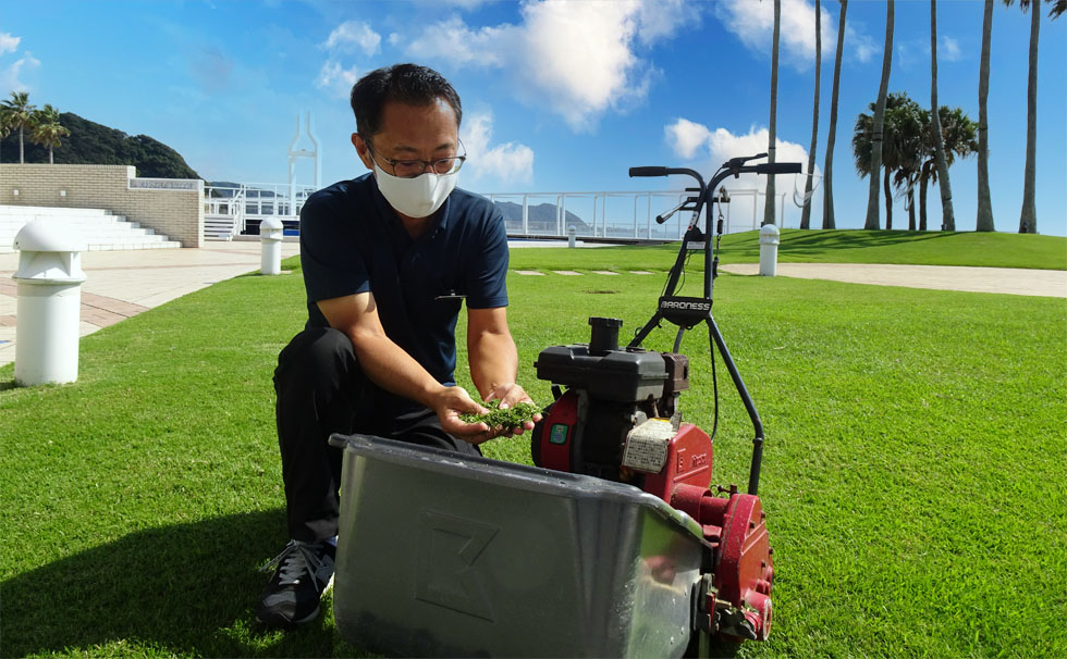 写真：手入れの様子