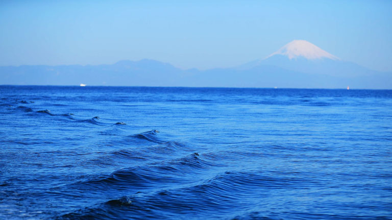 写真：相模湾と富士山