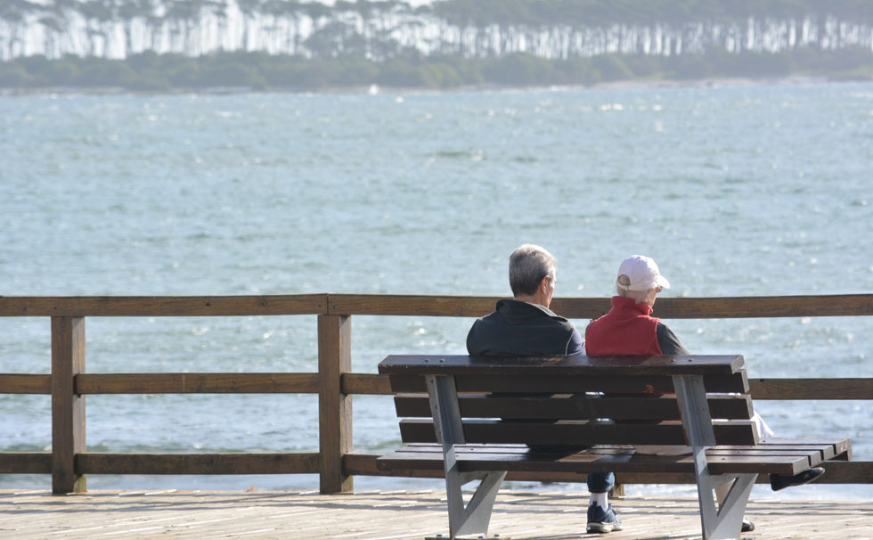 写真:絆を深める終活・海洋葬 イメージ