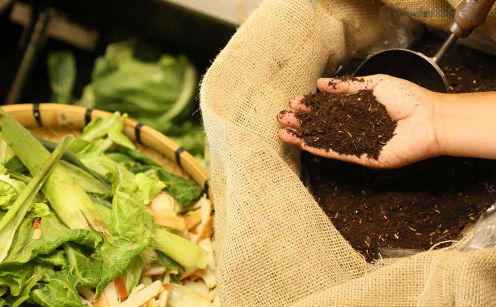 写真:循環型農法