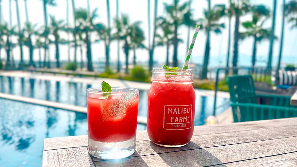 写真:マリブファーム期間限定ドリンク