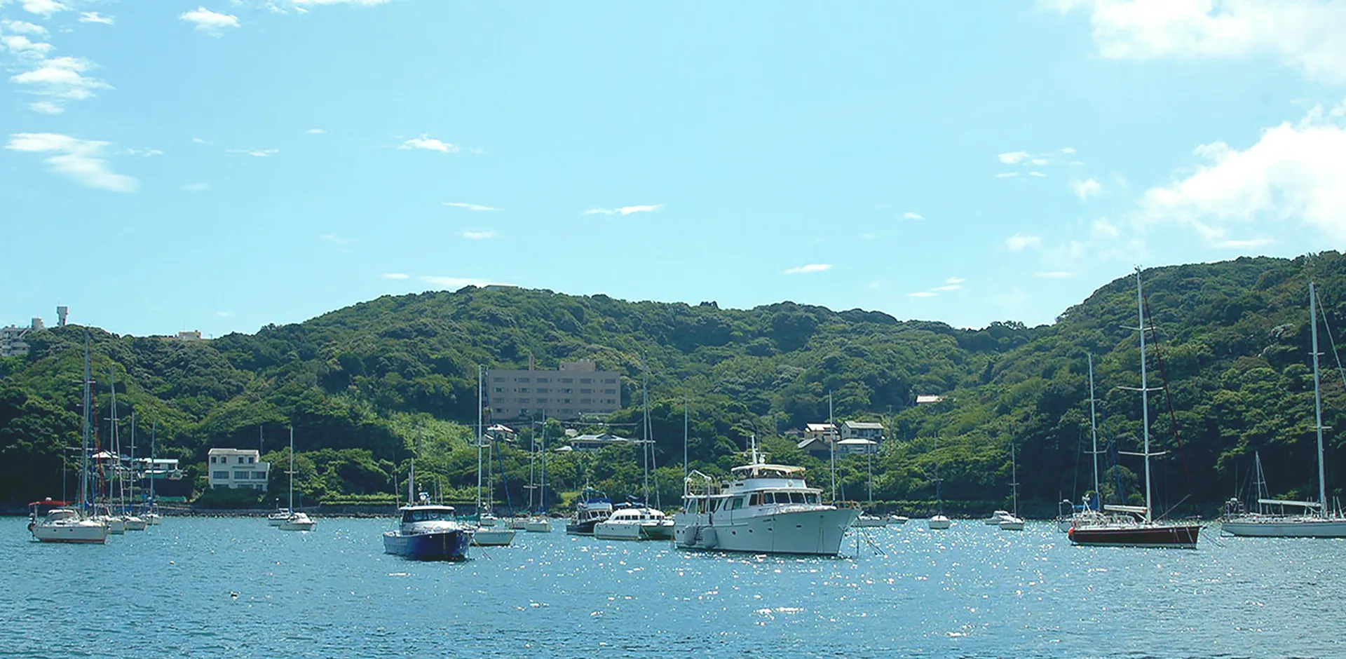 写真：下田エリア