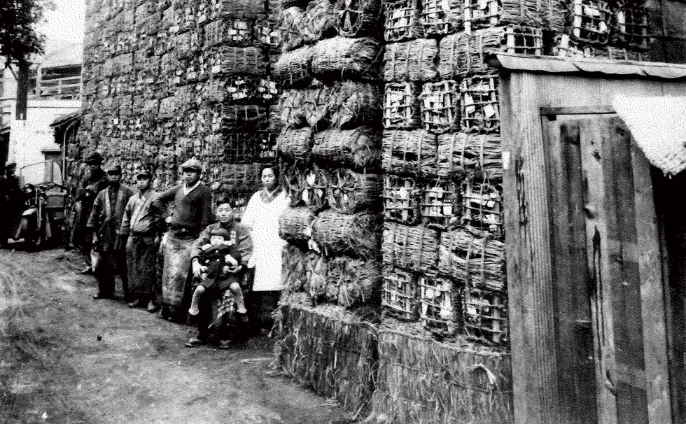 写真:薪炭問屋 「福島屋」