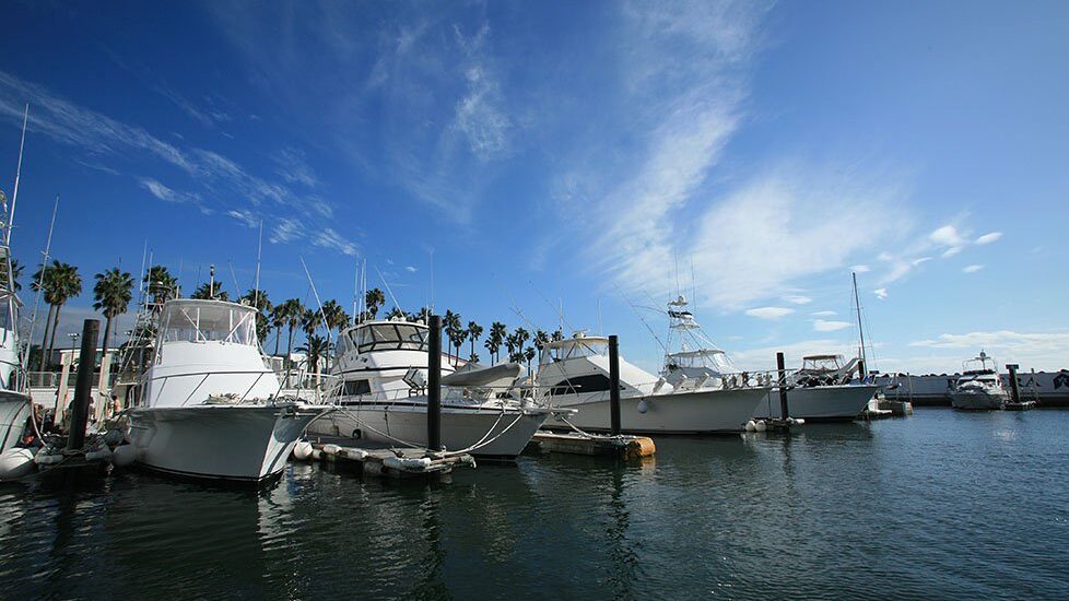 写真:逗子ハーバー 係留写真