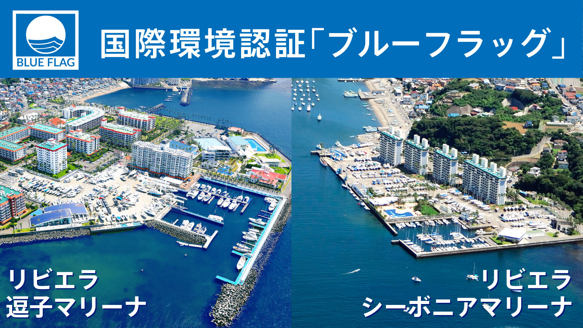 画像：ブルーフラッグ