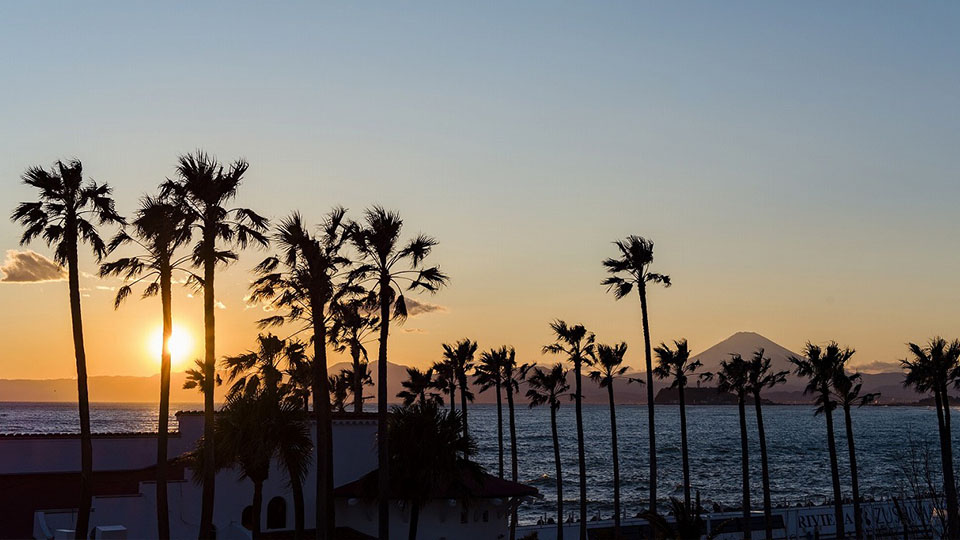 写真:クリスマスコース