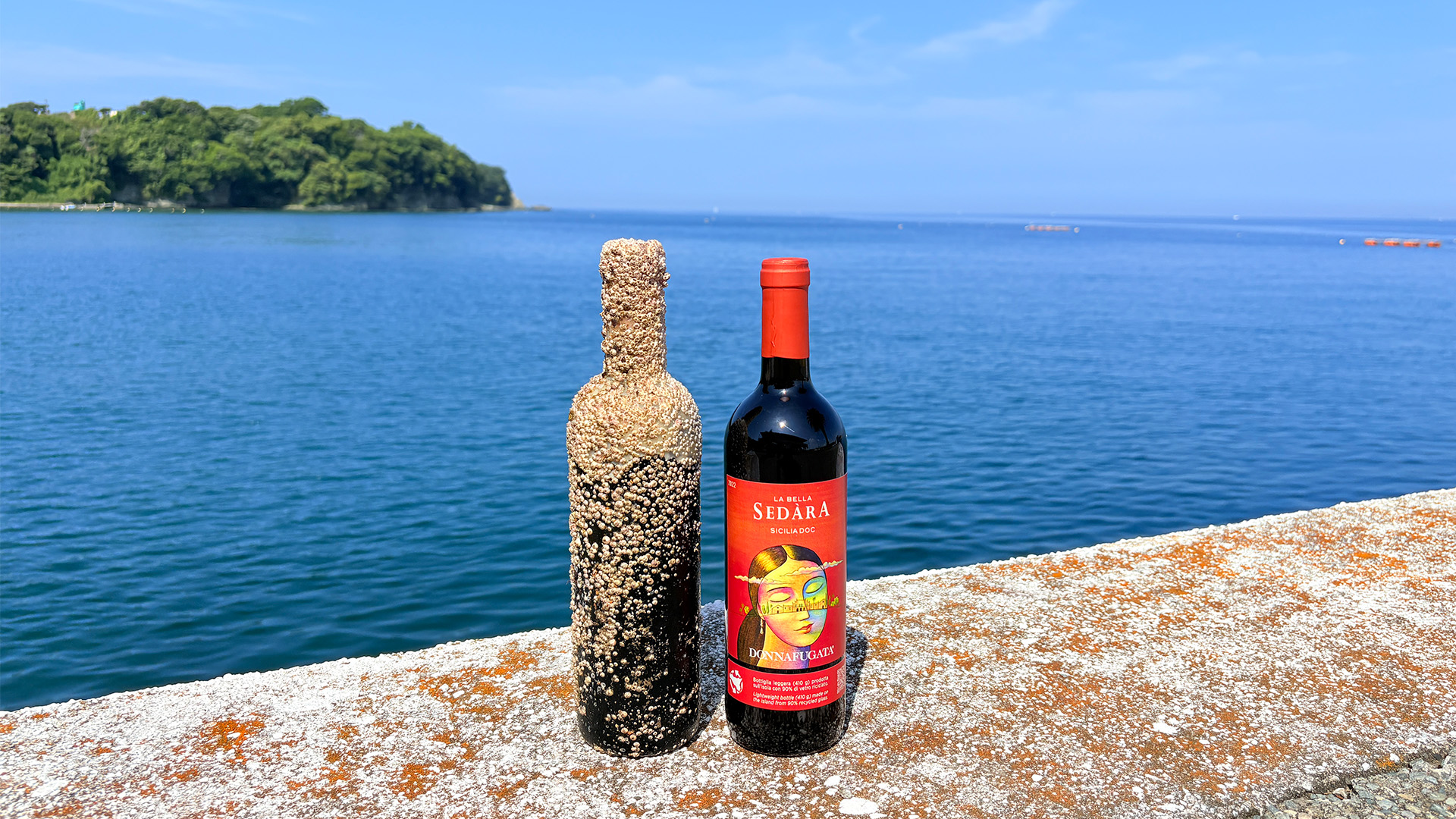 画像:海底ワイン 赤