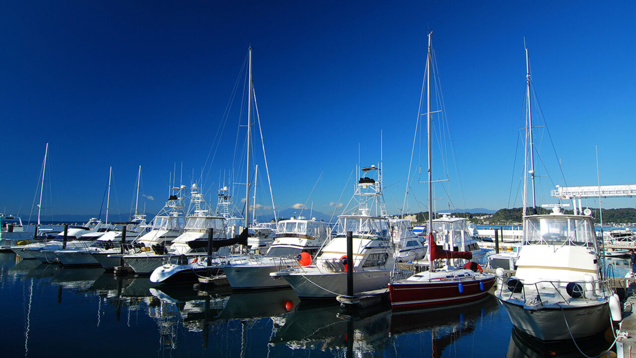写真：リビエラ逗子マリーナ