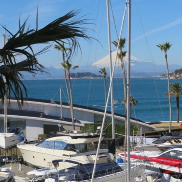 写真:逗子マリーナ2号棟眺望