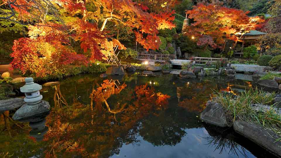写真：長谷寺ライトアップ