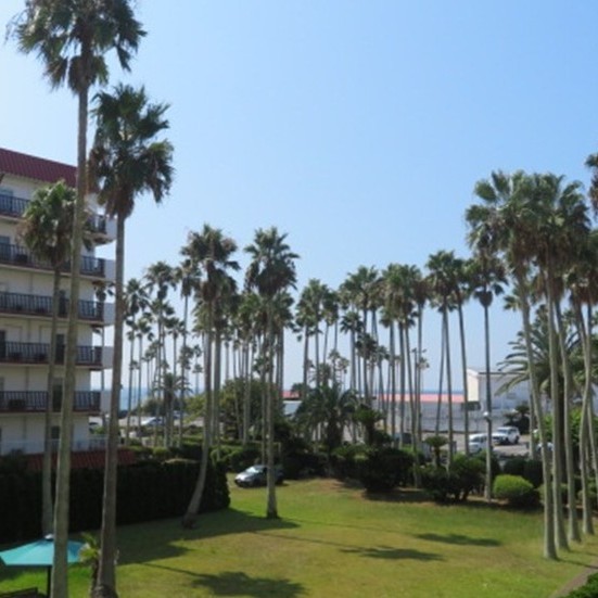 写真:4号棟眺望